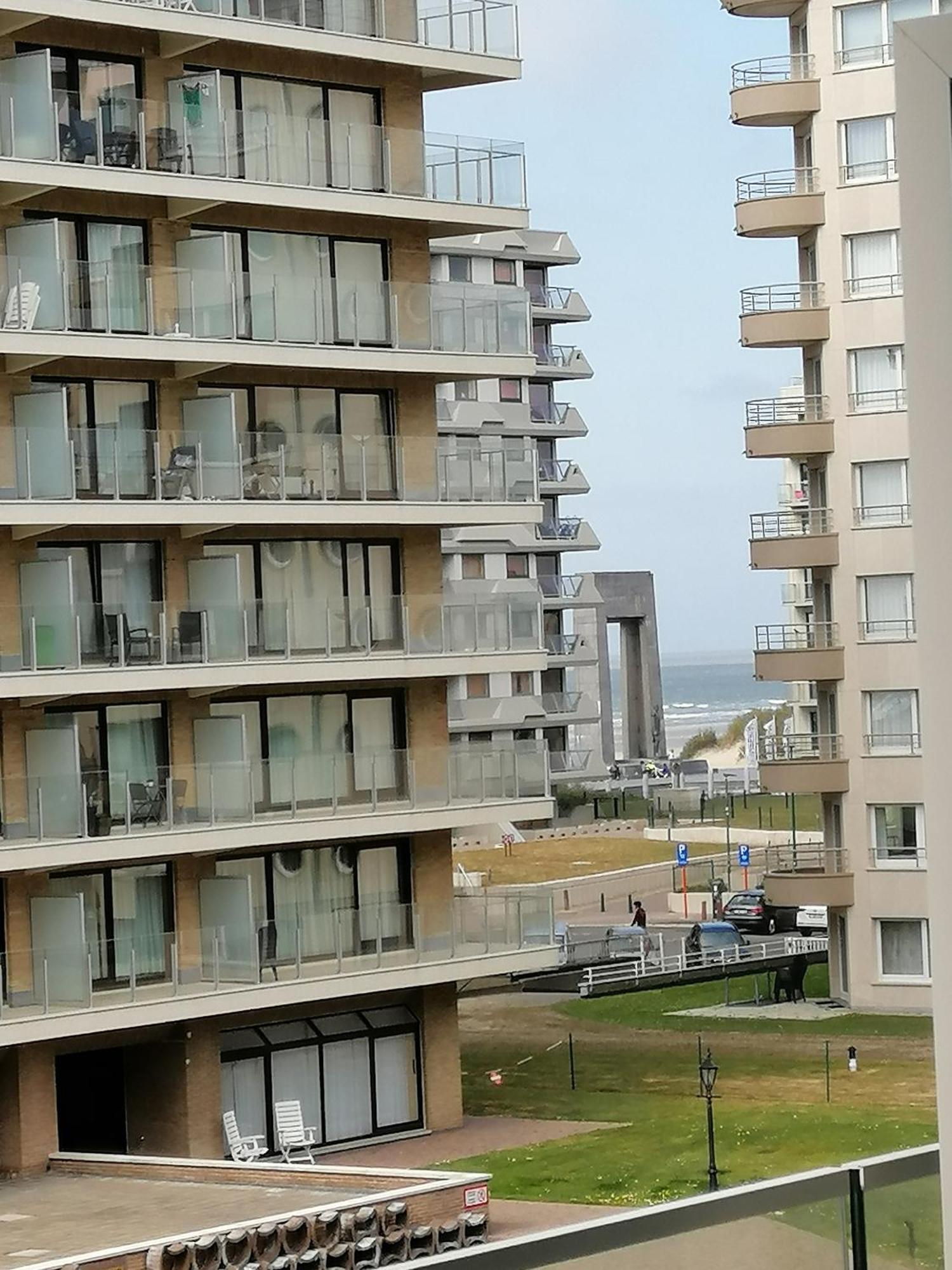 Zee En Strand De Panne Exterior foto